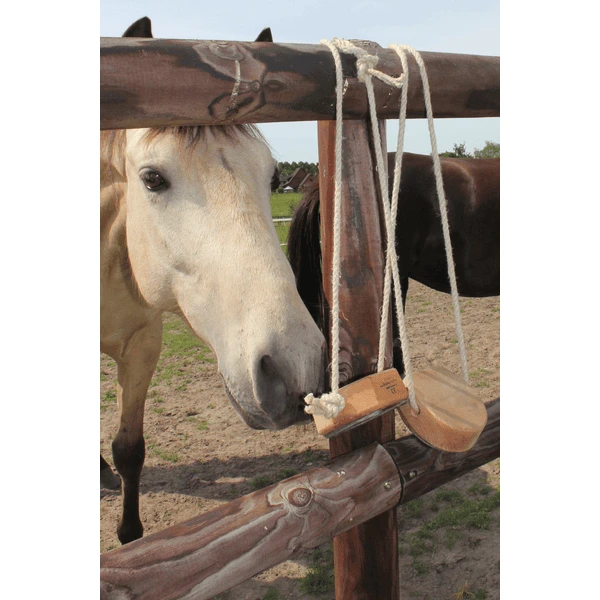 Helga Kreft Shaddy Hoeven - Image 2