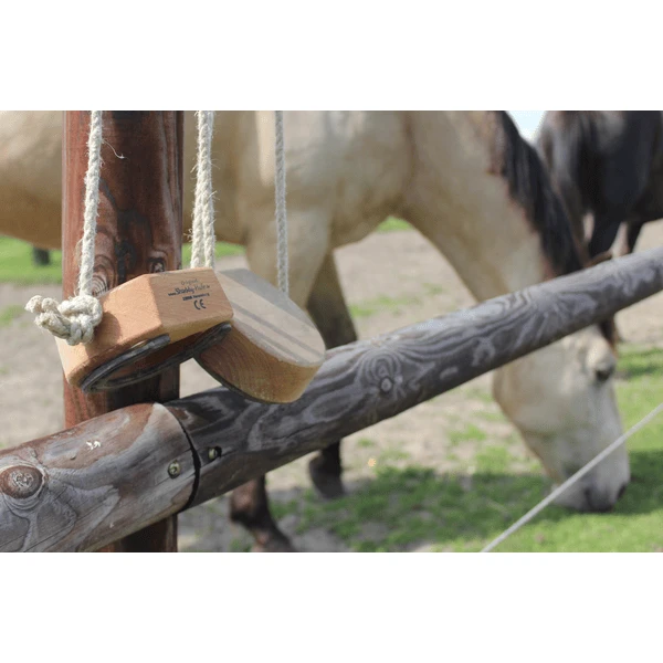 Helga Kreft Shaddy Hoeven - Image 3