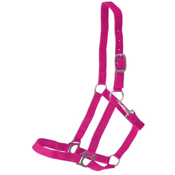 Helga Kreft Tuinpaardenset Tamme, Roze - Image 5