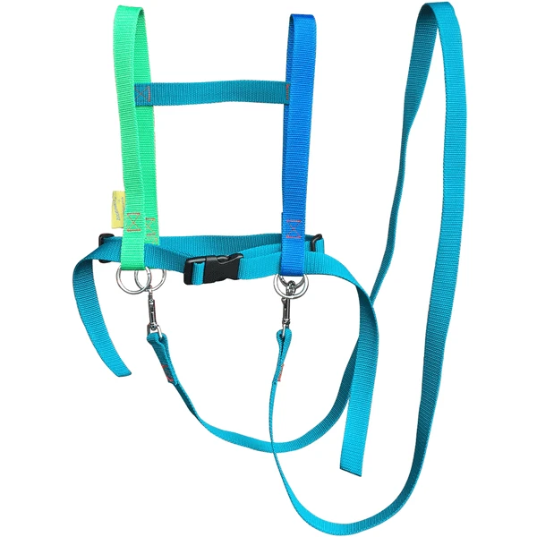 Helga Kreft Zügelmatz Paardenspeellijn, Blauw Gekleurd - Image 3