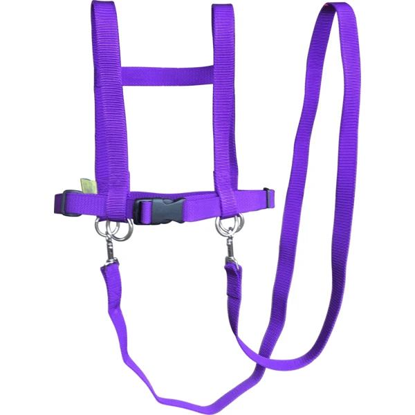 Helga Kreft Zügelmatz Paardenspeellijn, Paars - Image 3