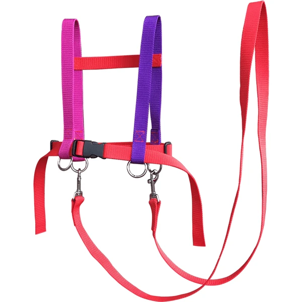 Helga Kreft Zügelmatz® Paardenspeellijn, Rood Gekleurd - Image 3