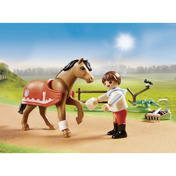 PLAYMOBIL ® Country Verzamelpony "Connemara" 70516 - Image 3