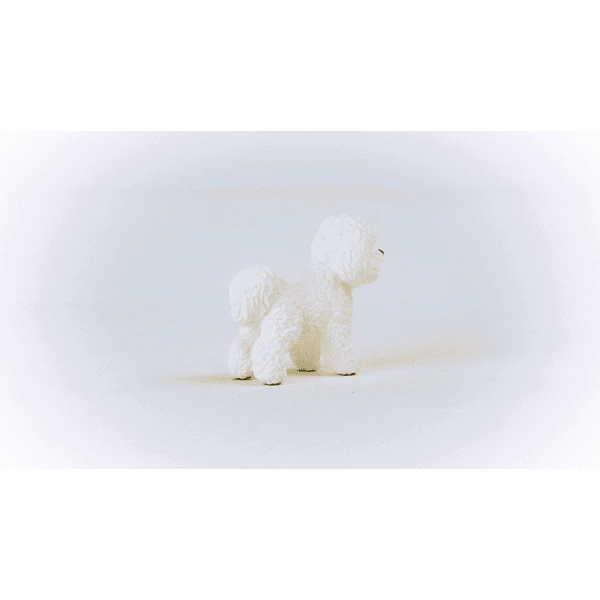Schleich ® Bichon Frisé 13963 - Image 3