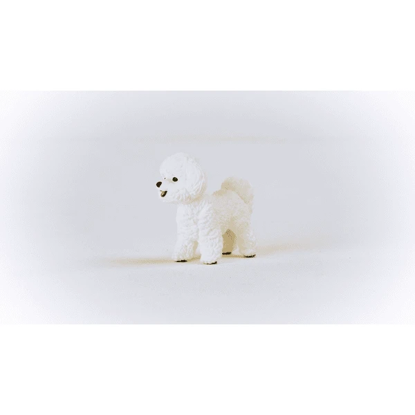 Schleich ® Bichon Frisé 13963 - Image 5