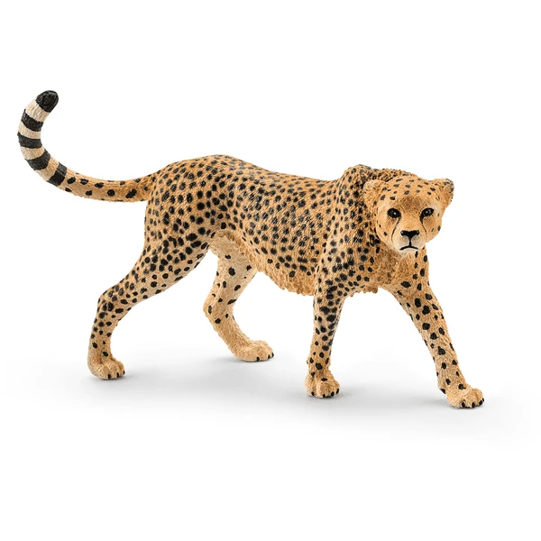 SCHLEICH Cheetah Vrouwtje 14746 - Image 2