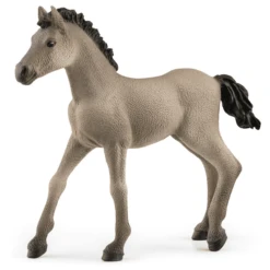 Schleich Criollo Definitivo Veulen, 13949
