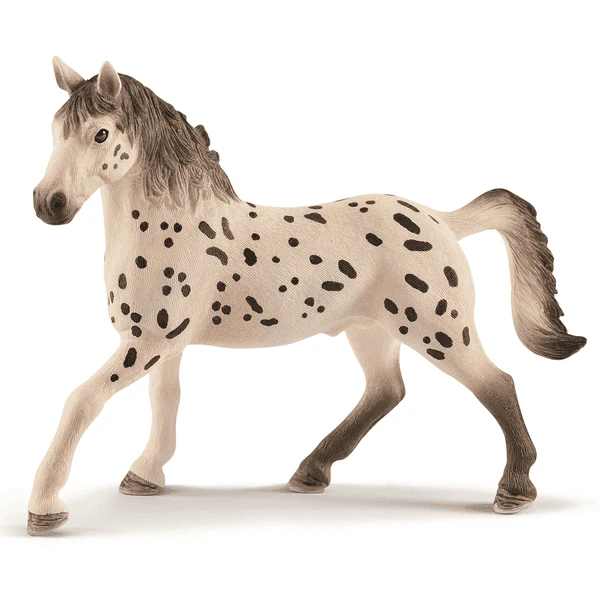 Schleich Knabstrupper Hengst 13889 - Image 2
